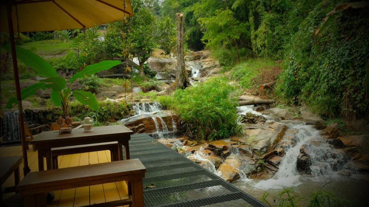 Forest falls Garden Maerim Chiangmai ตาดปลาแคมป์ออร์แกนิคฟาร์มสเตย์เชียงใหม่ - Housity