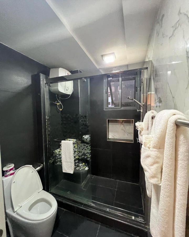 Luxury 2 bedroom apartment Abuja - Housity