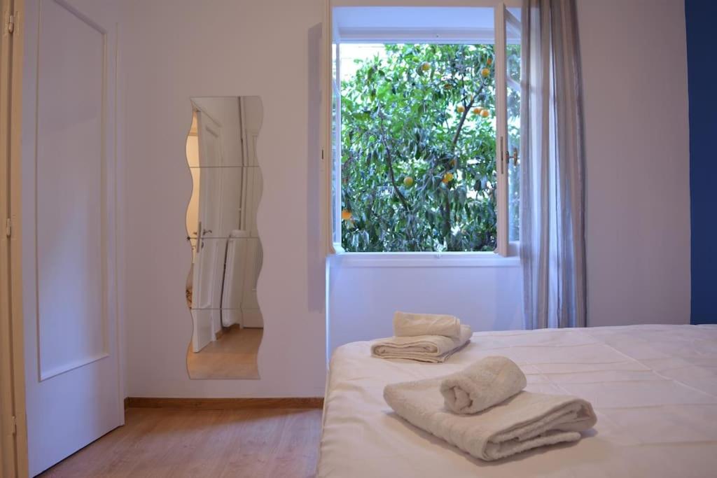 Bright and Cozy Apartment in the Center of Athens - Housity