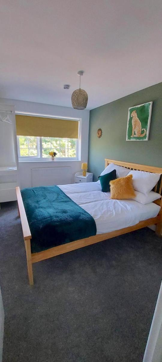 The Paget Suite - Housity