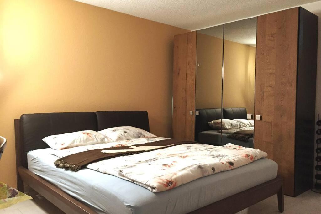 1.5 Room cosy Studio in Birmensdorf -Zurich- 16-1R - Housity