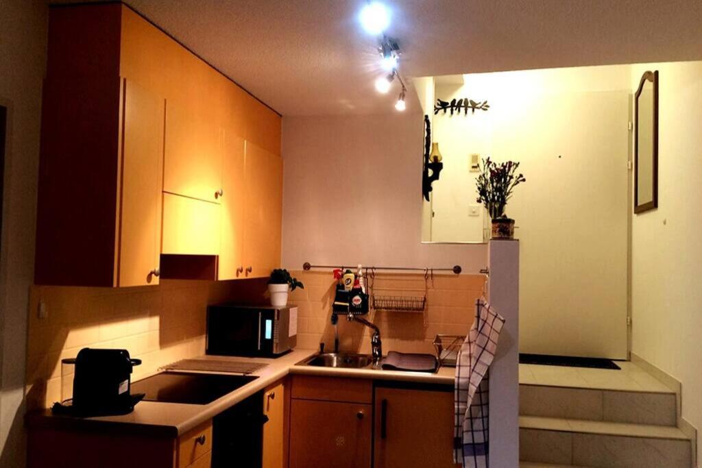 1.5 Room cosy Studio in Birmensdorf -Zurich- 16-1R - Housity
