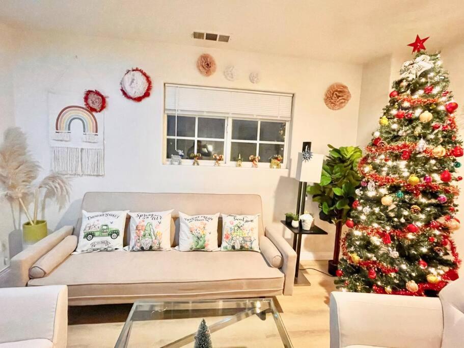 Lincies House 3 - Housity