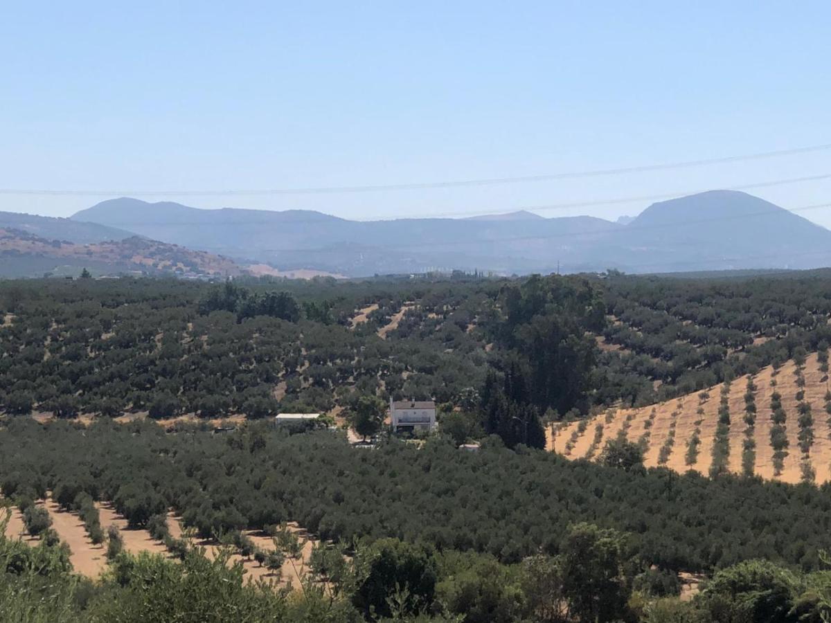 Cortijo Ribero - Housity