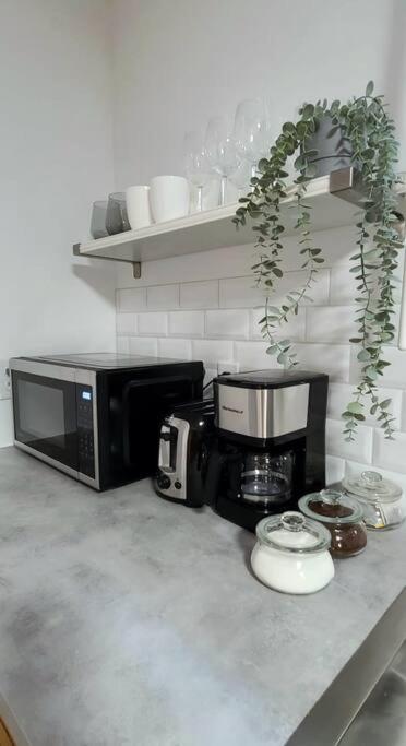 Cozy 2-bedroom lower unit! - Housity