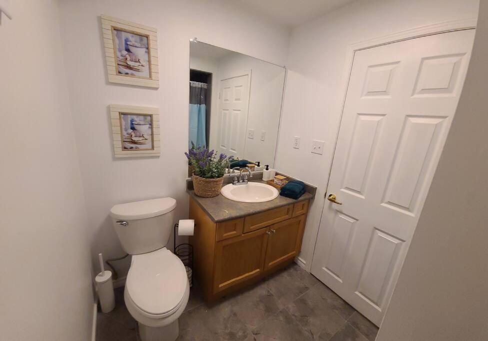 Cozy 2-bedroom lower unit! - Housity