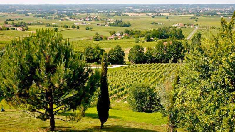 Suitetrails - Maison Monbazillac avec piscine