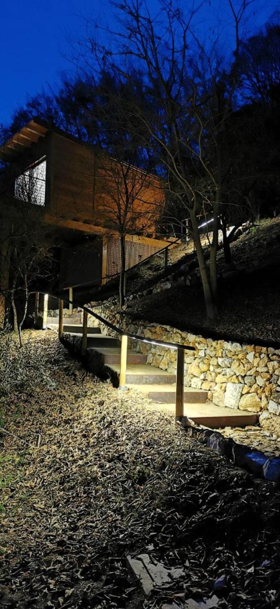 Tree House San Giorgio - Housity