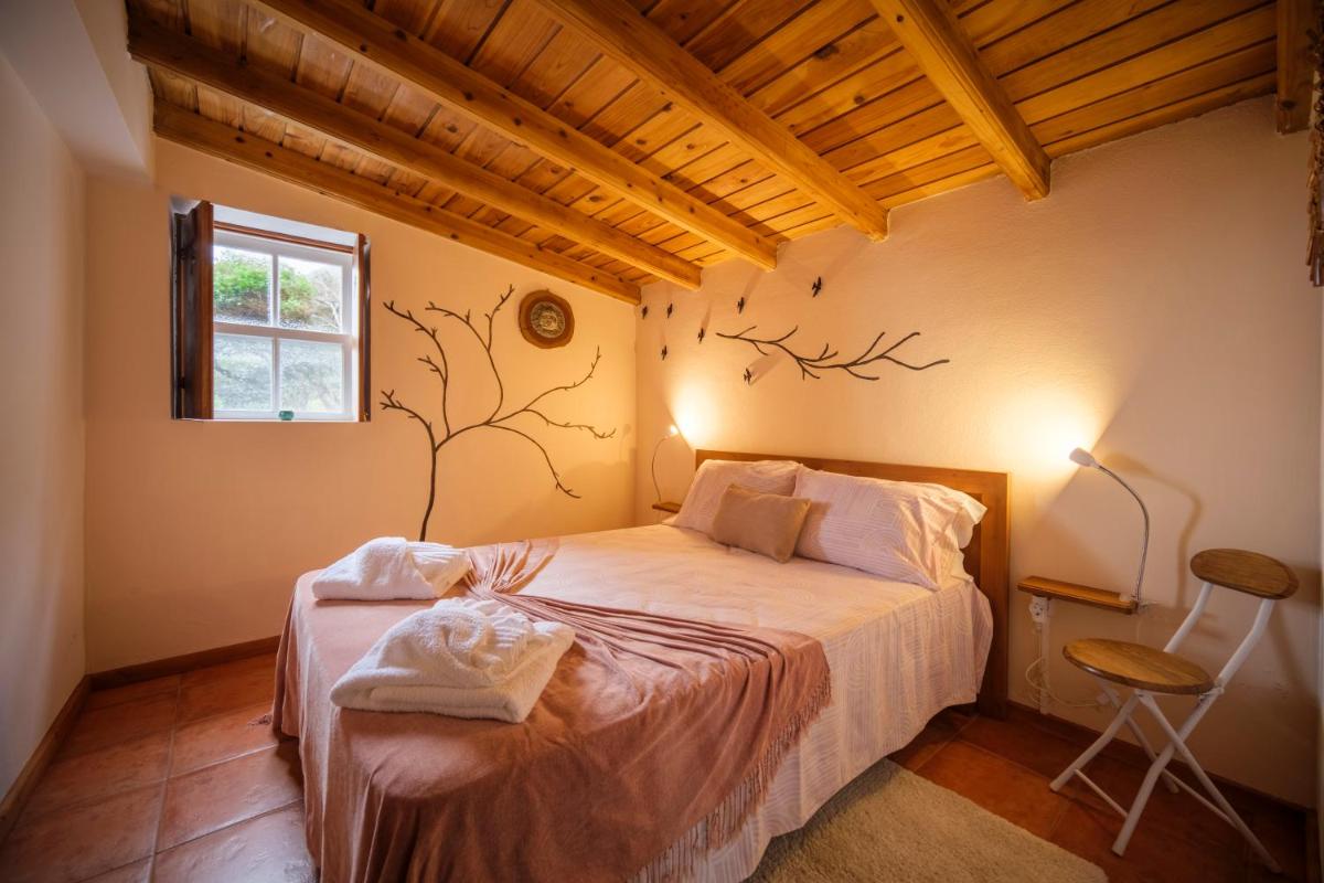 Casa do Caramba - The Dream House - Housity