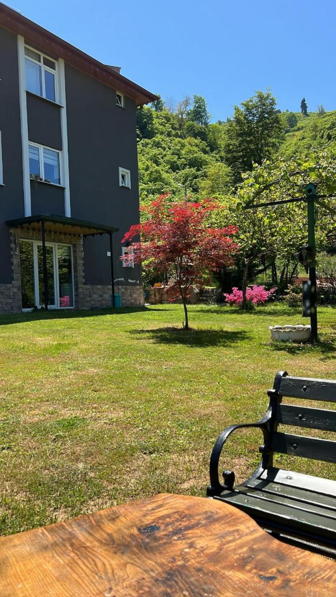VEY’s HOUSE - Housity