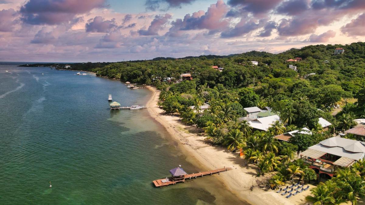 White Sand Beach, 3 Bedrooms House - Walking Distance To West End And West Bay - Housity