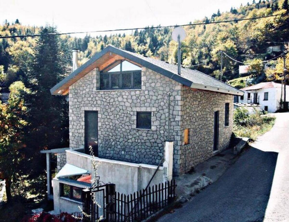 Luxurious mountain house - Housity