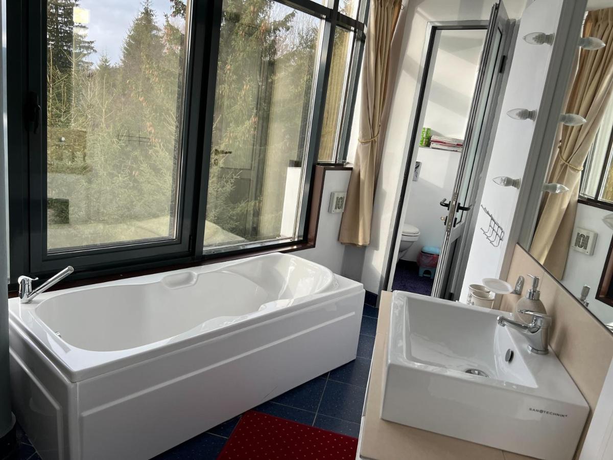 Vila Franceză - Cazare cu jacuzzi pe malul lacului Colibița - Housity