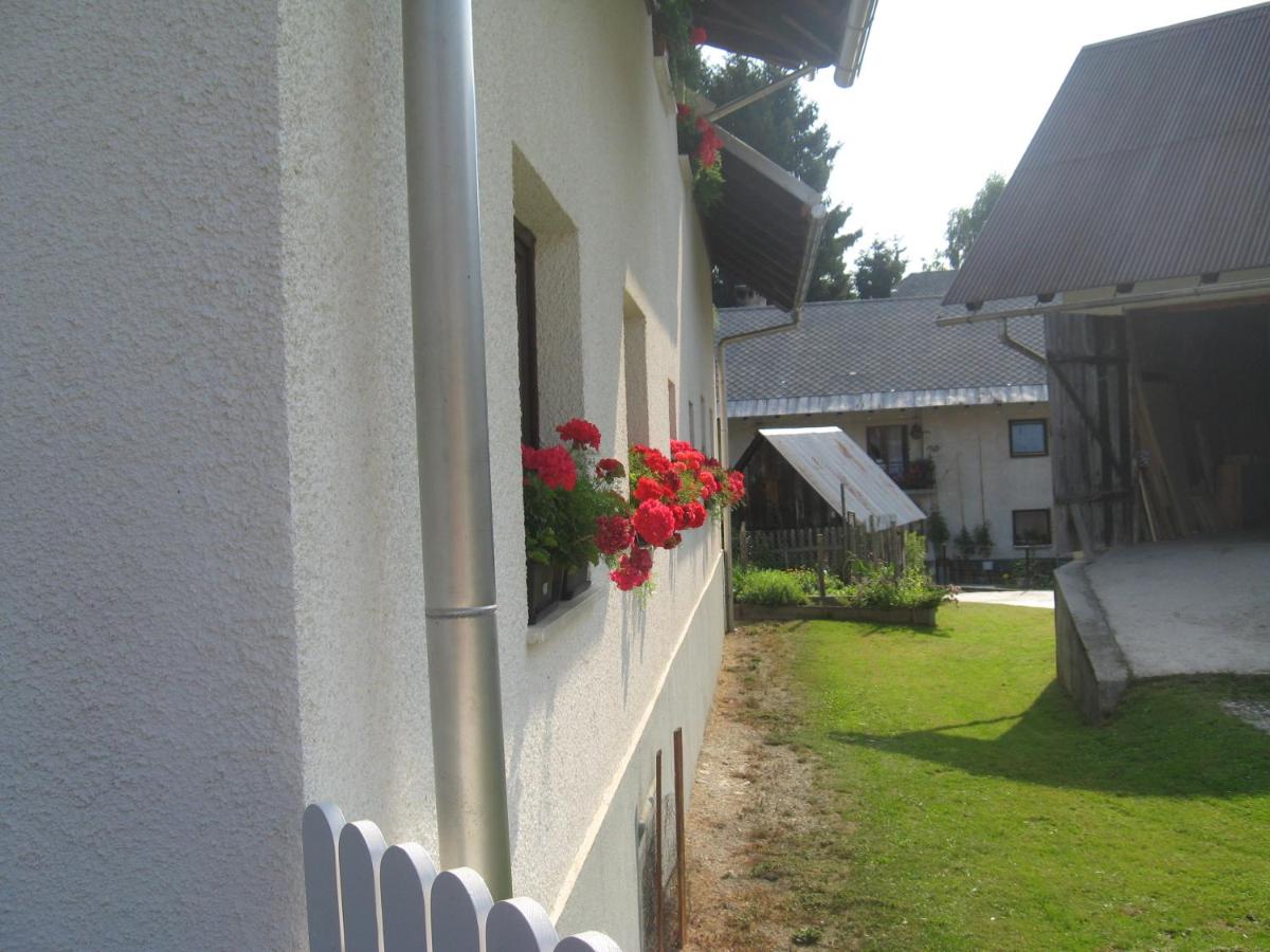 Apartma Tilika - Housity