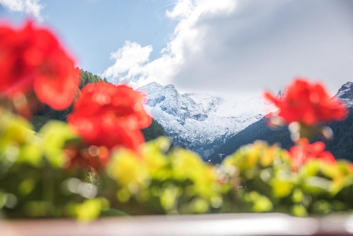 Alpenblick Nr 5 - Housity