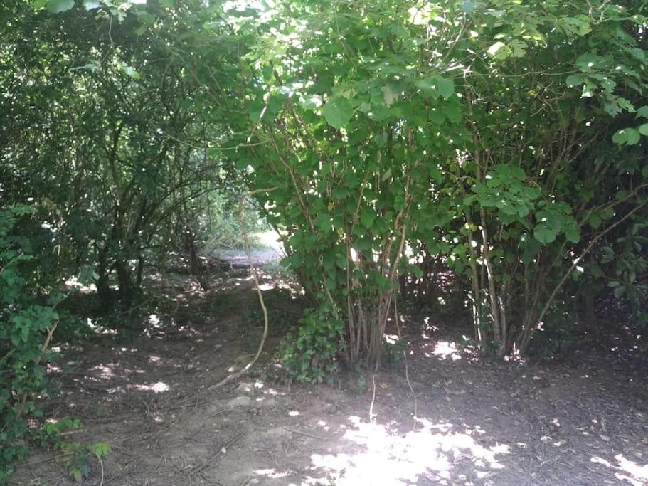 Gite les Farfadets - 10 personnes maxi - Housity