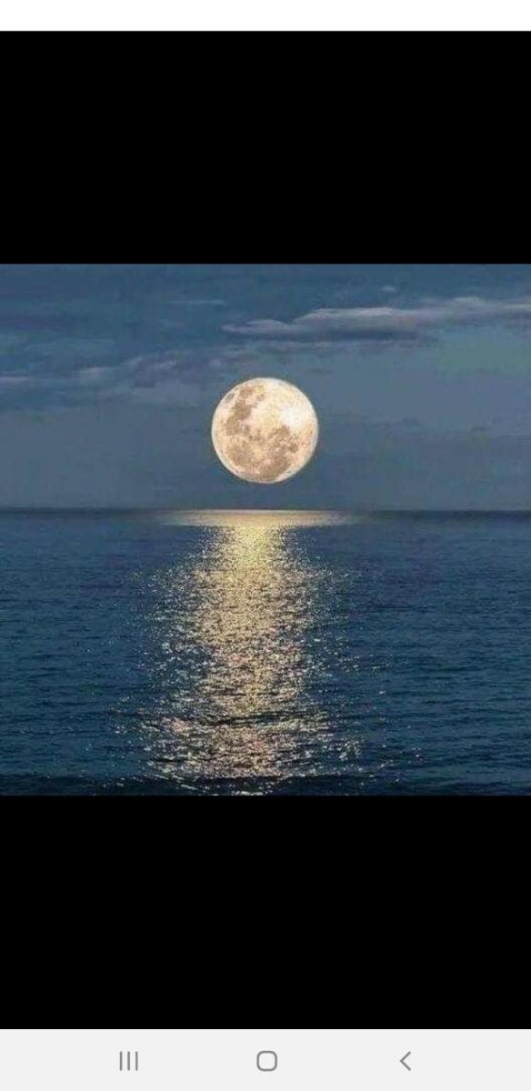 Rising Moon A - Housity