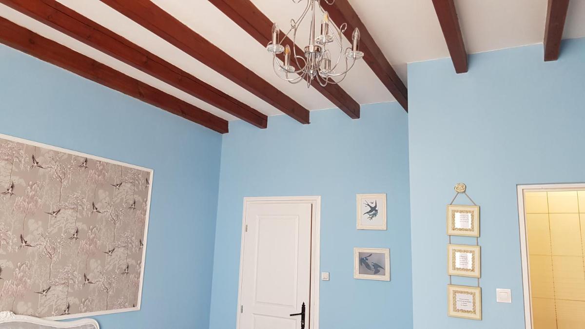 Les Cygnes Noirs - Housity