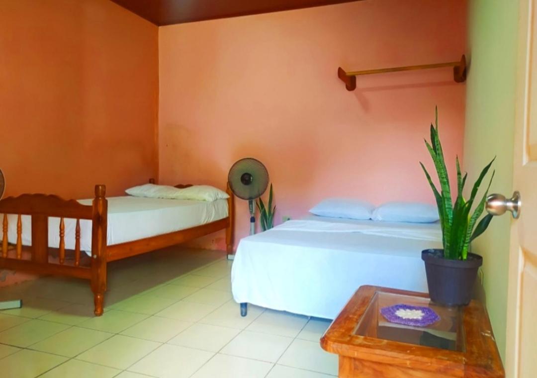 Suitetrails - Rustic House Hostel
