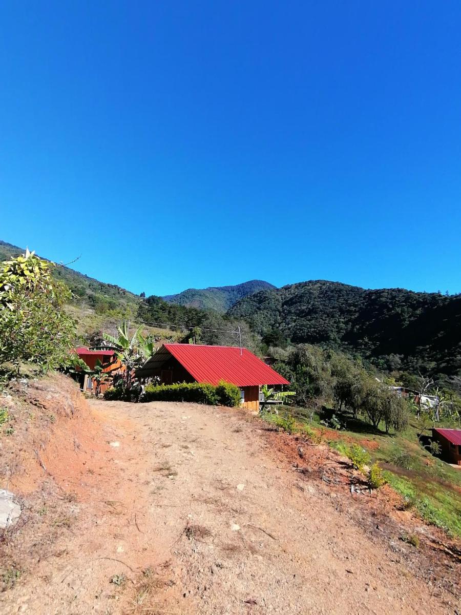 Lodge el Quetzal Providencia - Housity