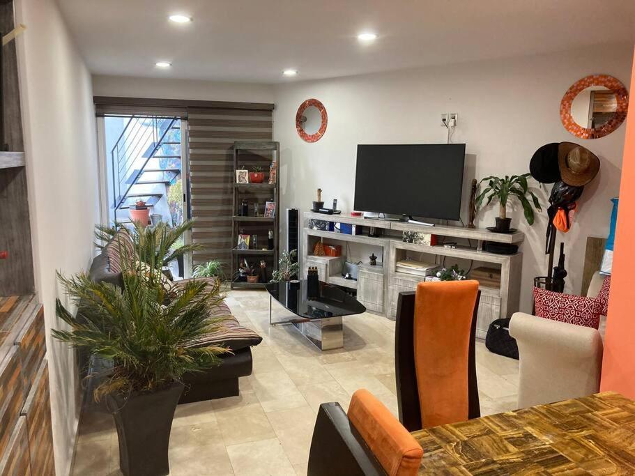 Suitetrails - COZY 2Br 2Ba Apartment w/grill Terrace & Parking