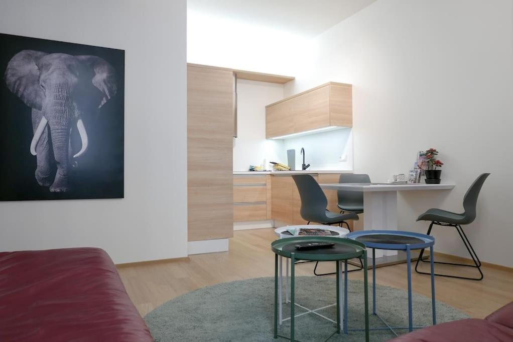 Accommodation in the heart of Brno - Hizvo