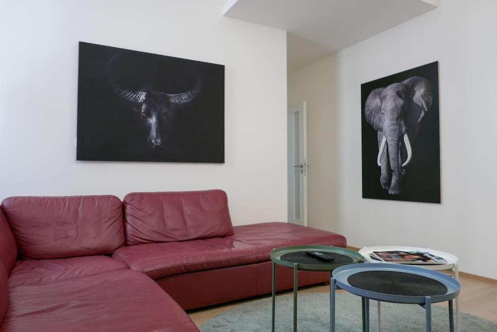 Accommodation in the heart of Brno - Housity