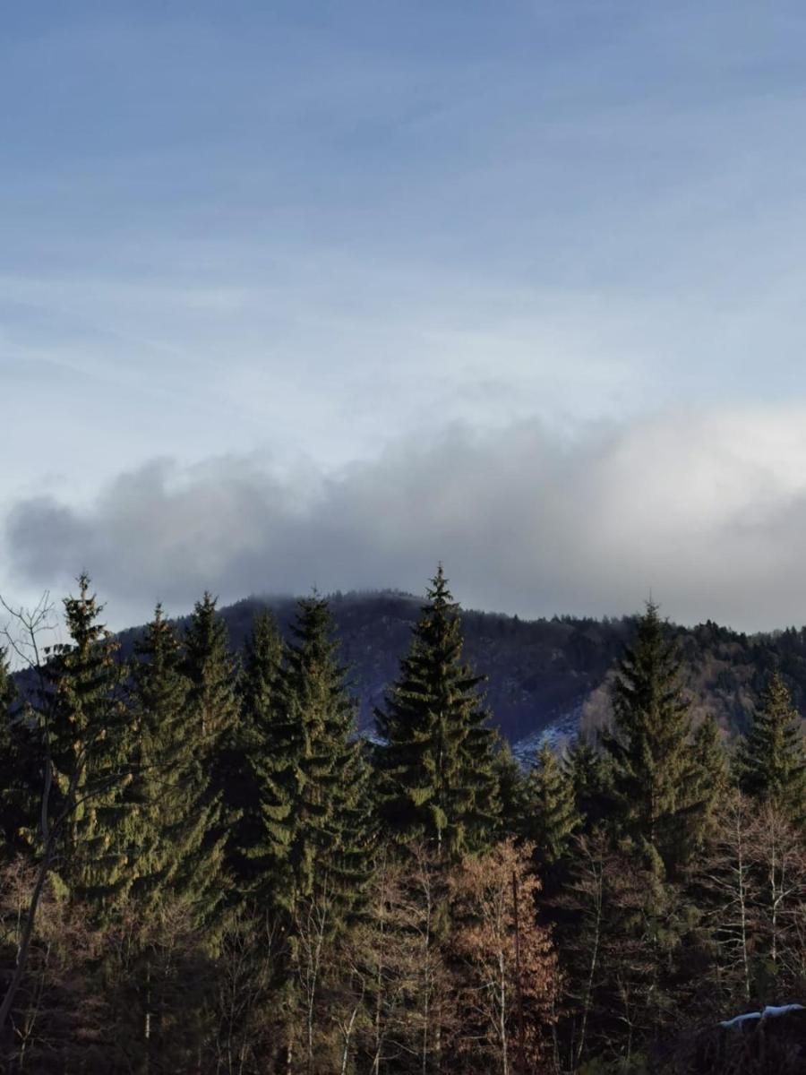 Hotel Rudo Forest View Predeal - Housity