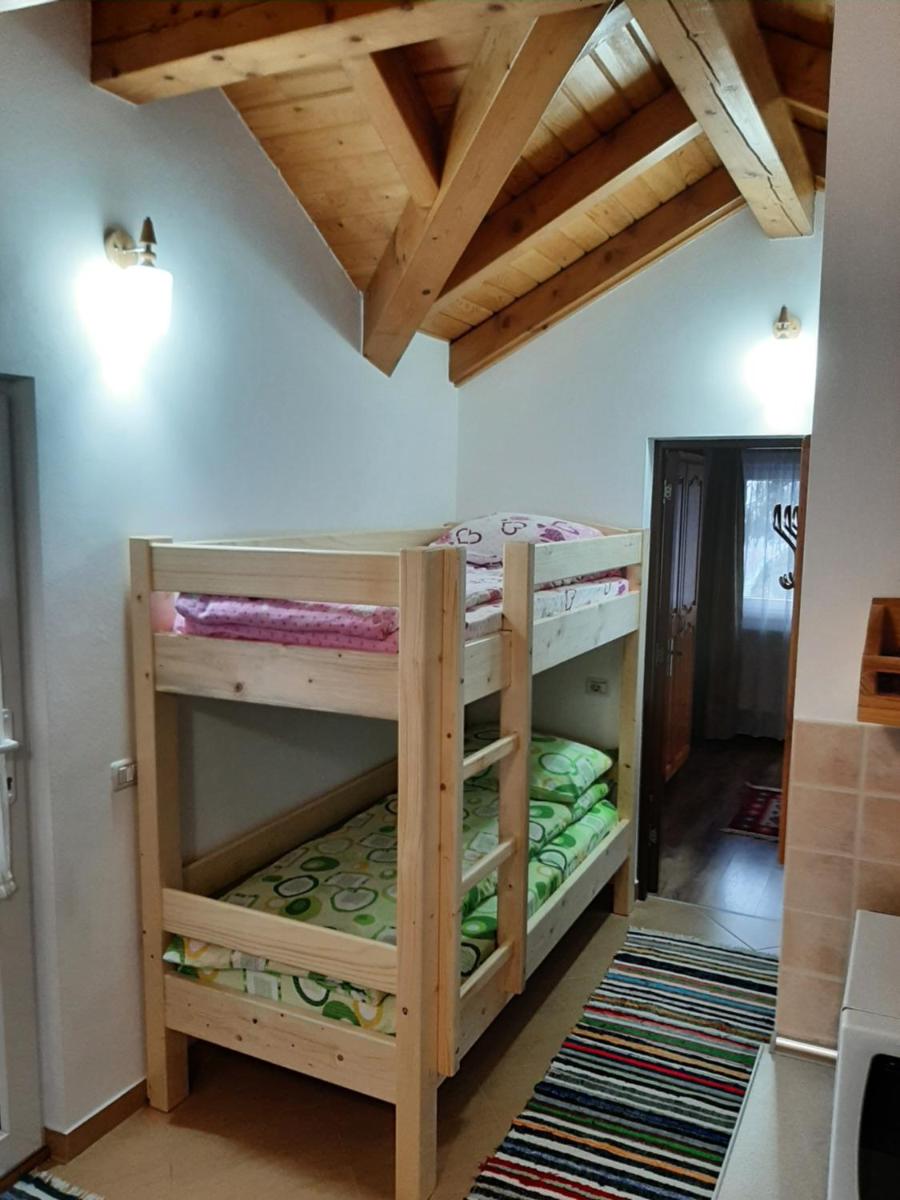 Casuta Pietrosul Rodnei - Housity