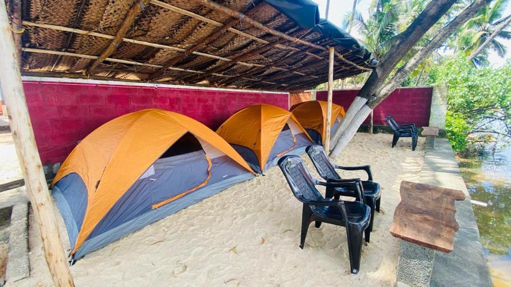 Tents in between ocean and River - Housity