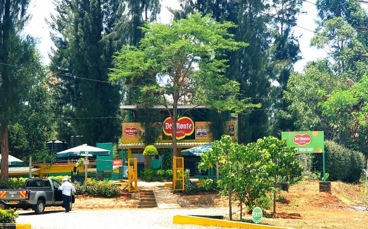 Beautiful and spacious House in Thika Kenya - Housity