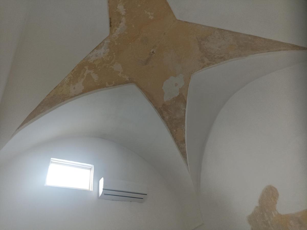 Fichi d india - Housity