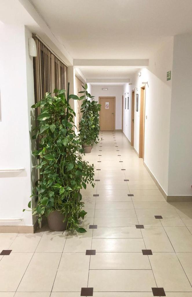Inn Požarevac - Housity