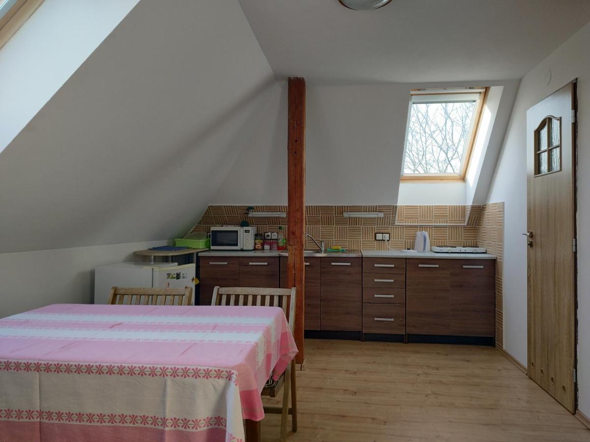 Apartmán v podkroví - Housity