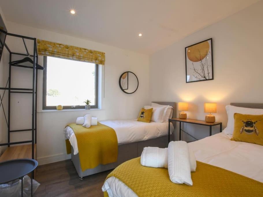 Gorgeous eco lodge in Flatford - Housity