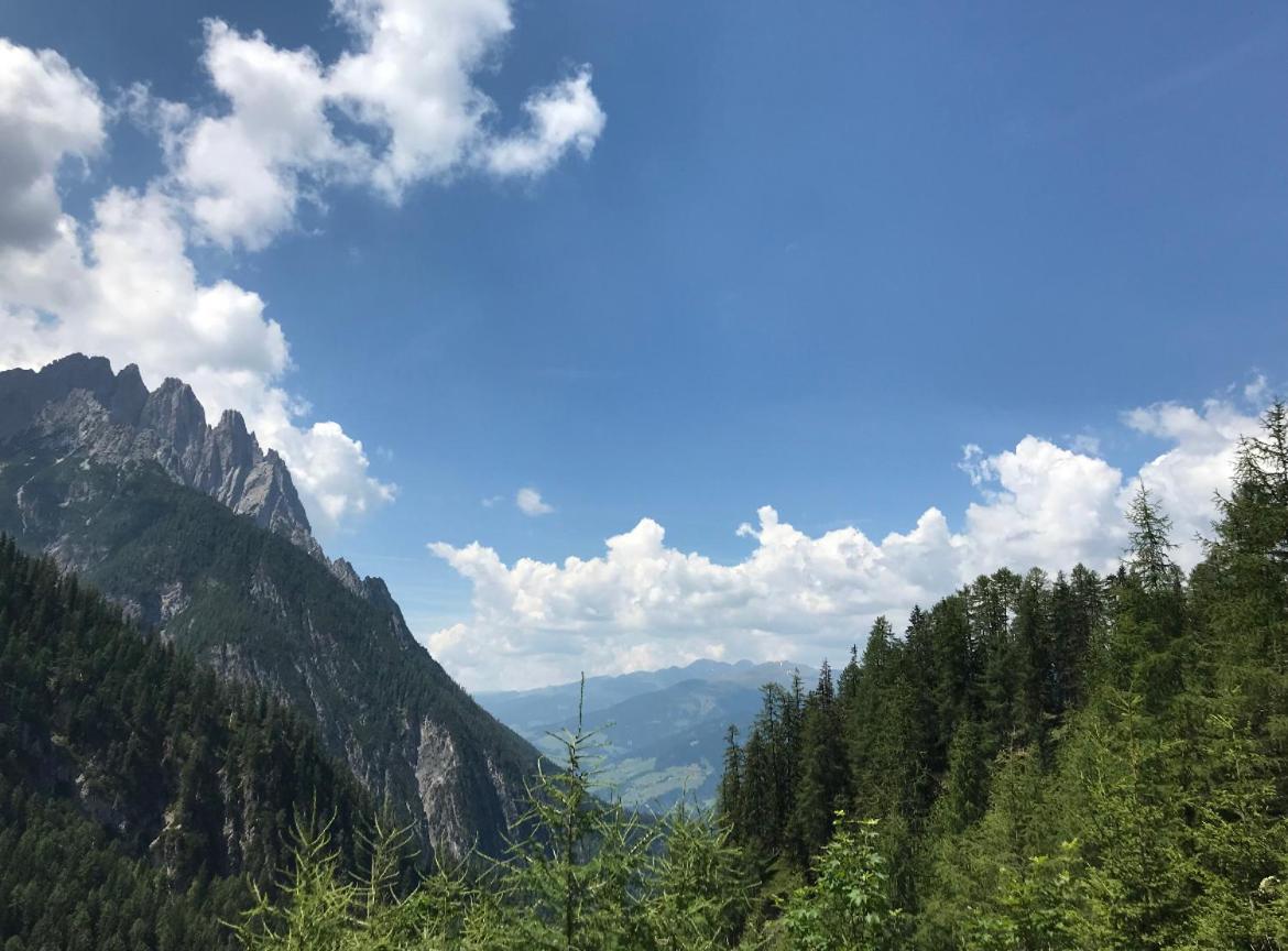 The Dolomiti View - Housity