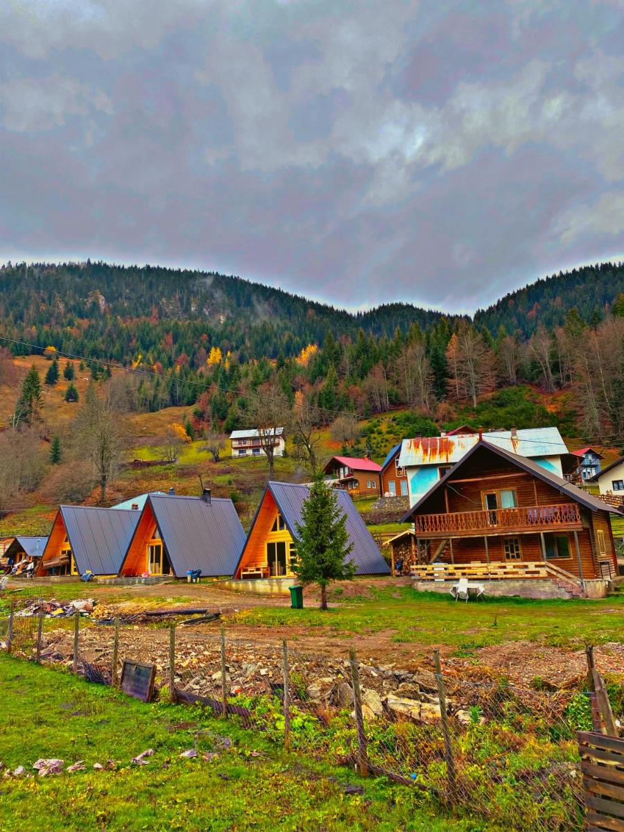 Suitetrails - Villa Alpina