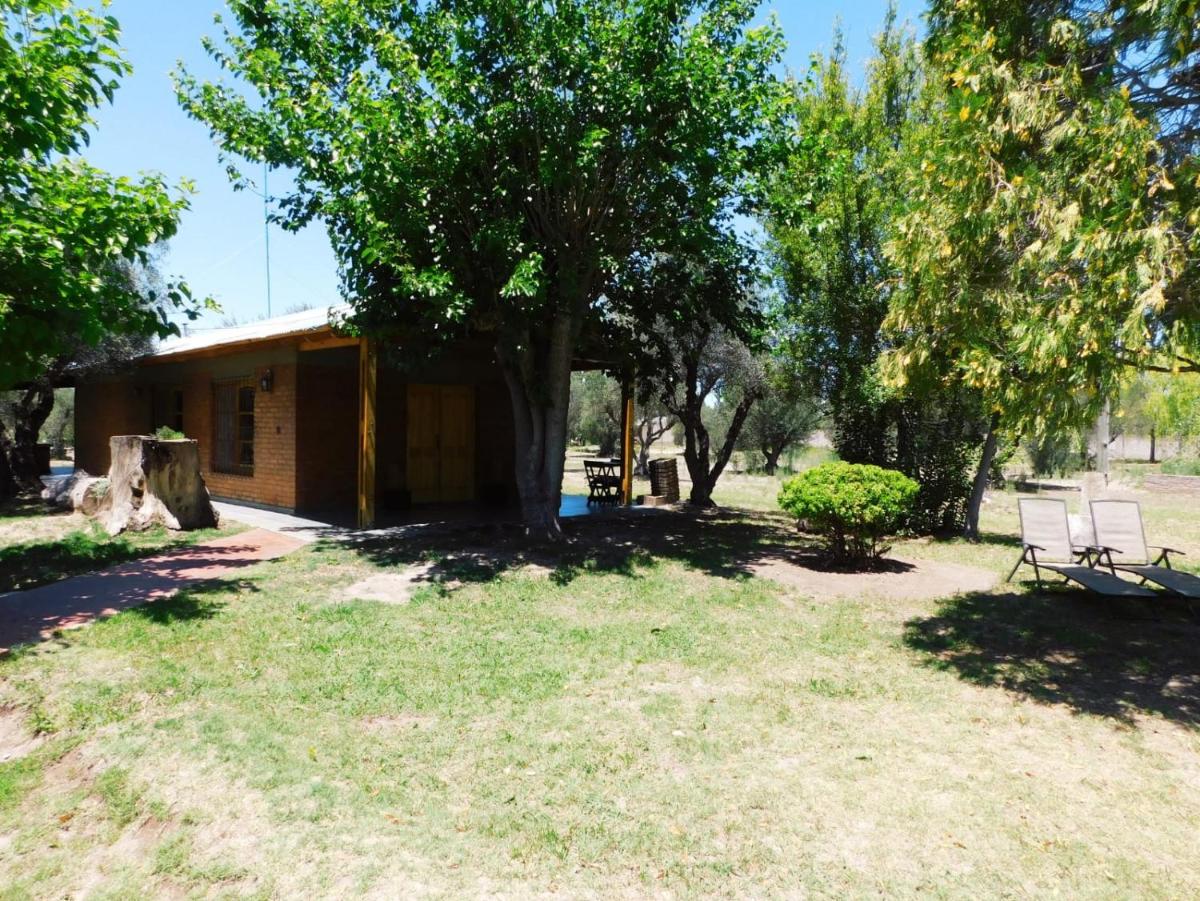 Olive Garden Cabañas - Housity