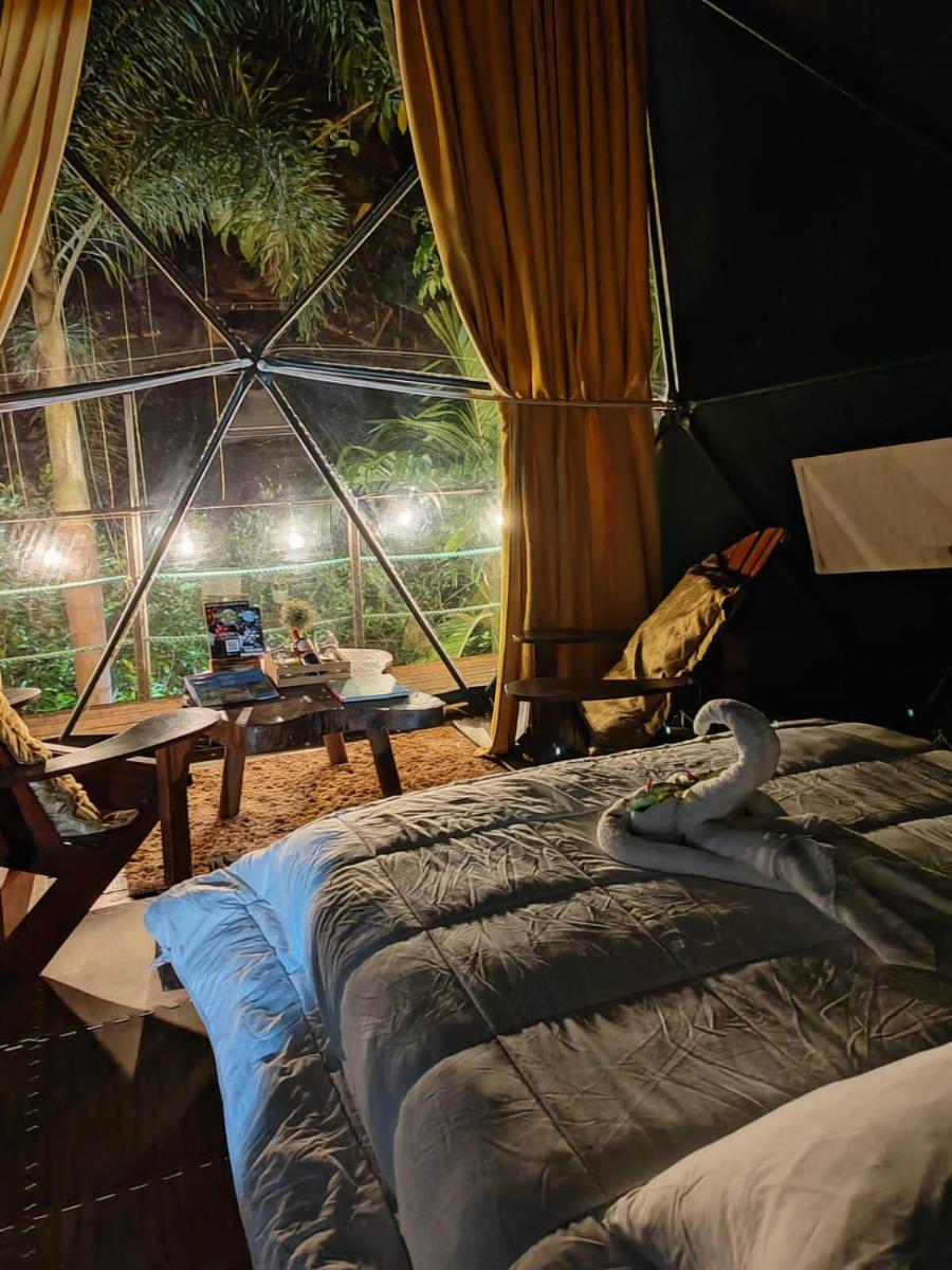 Momotus Glamping - Housity
