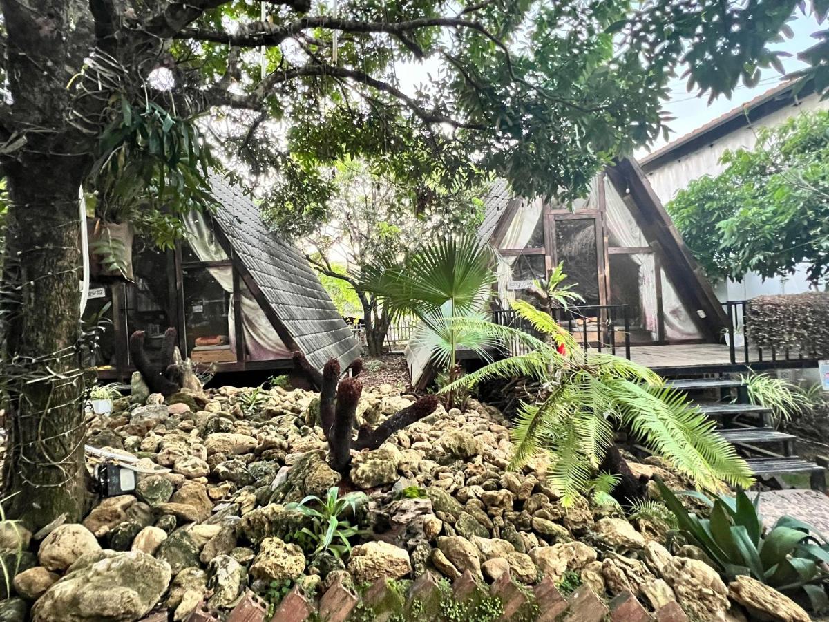 Lang Homestay - Venuestay - Housity