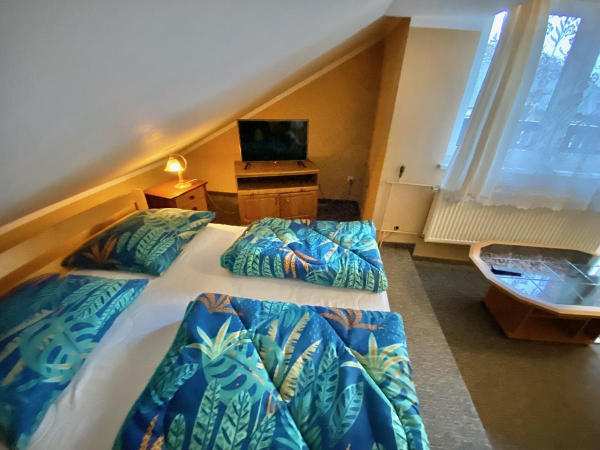 Pokoje gościnne Harnaś - Housity