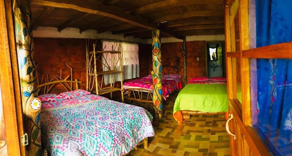 Eco Hotel Manu Viajeros - Housity