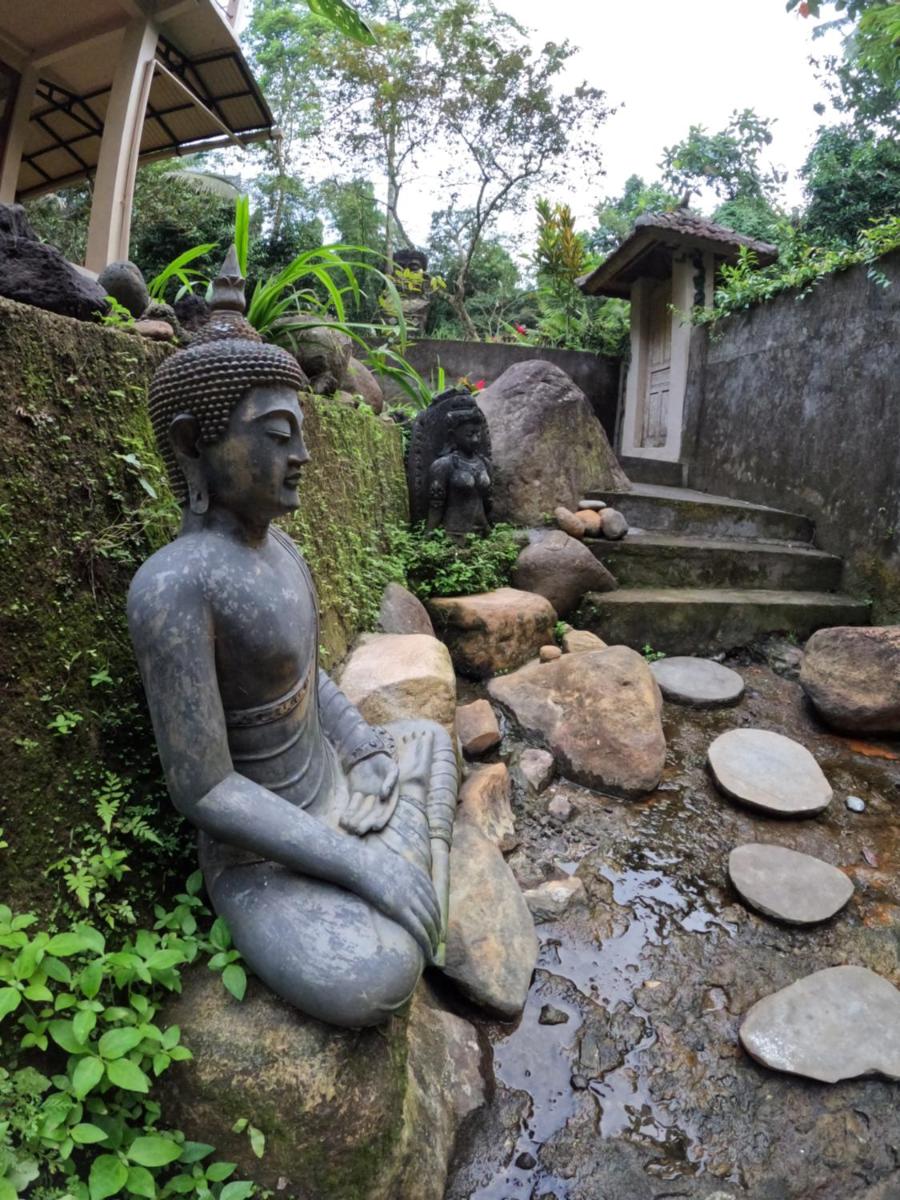 Private Hot Spring, Mountain Retreat - Housity