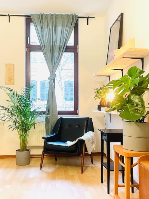 (PLANTROOM9)Ganze Wohnung allein - Housity
