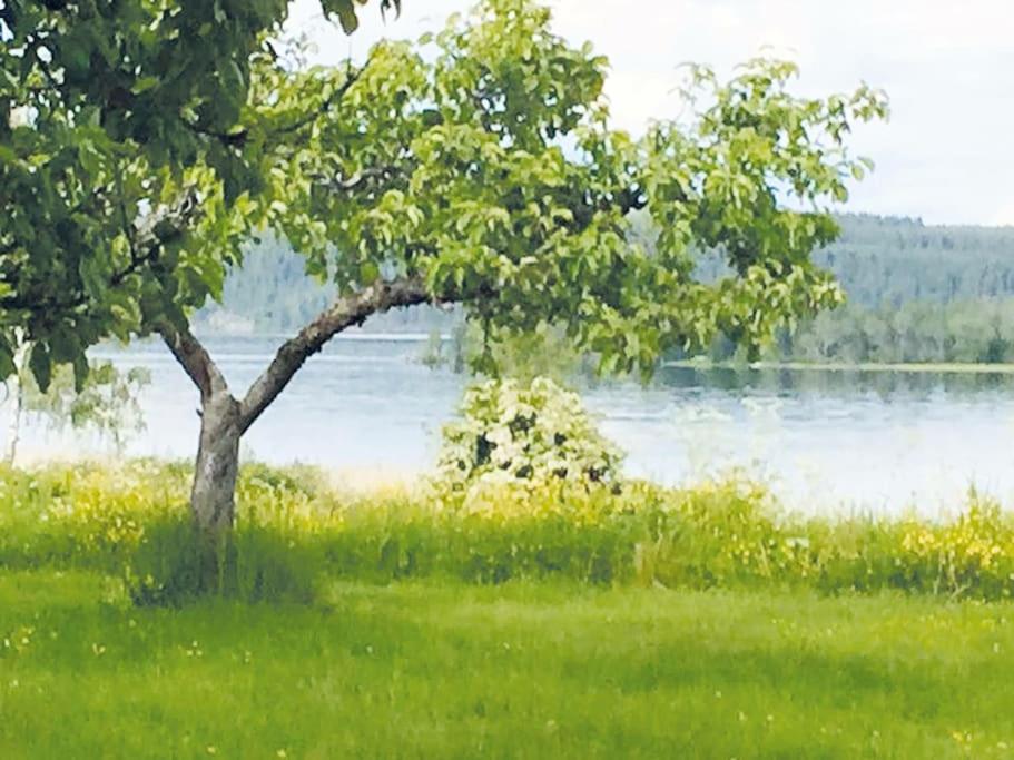 Wonderful big house - near lake Fryken in Värmland - Housity