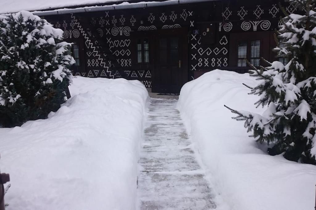 Maľovaná drevenička v Čičmanoch - Housity