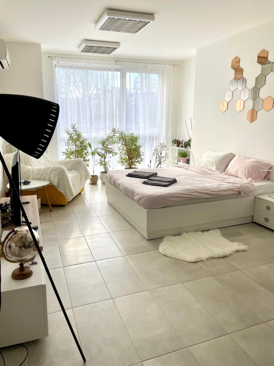 Felicity Super Central Apartment - Housity