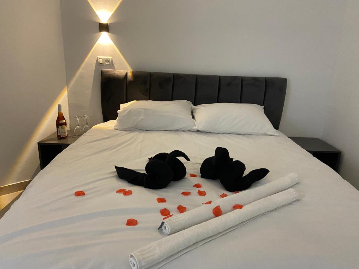 Sol Zimmer - Housity