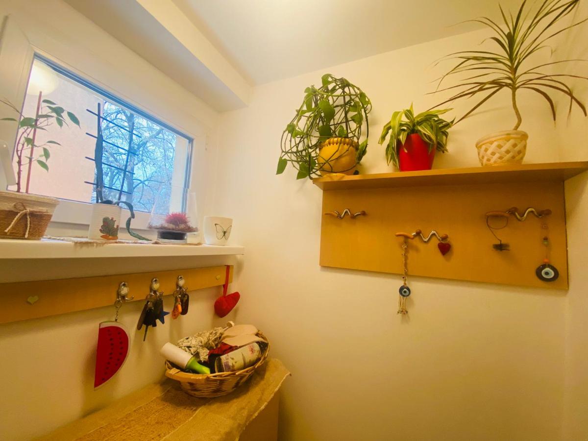 Funkcionalna garsonjera u Zemunu - Housity