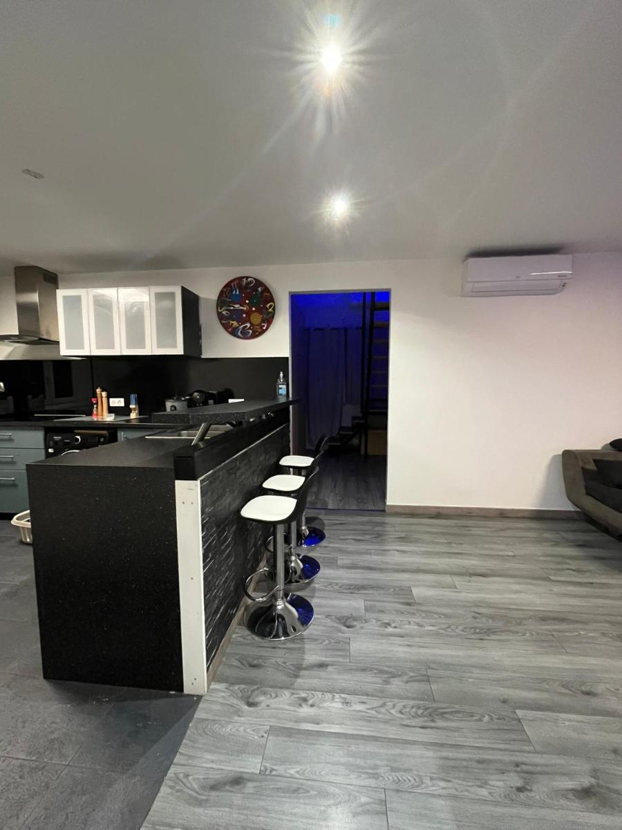 spacious flat/4br near orly airport - Housity